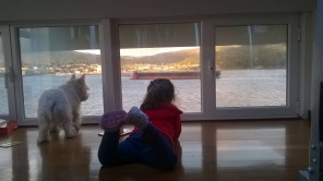 Vistas